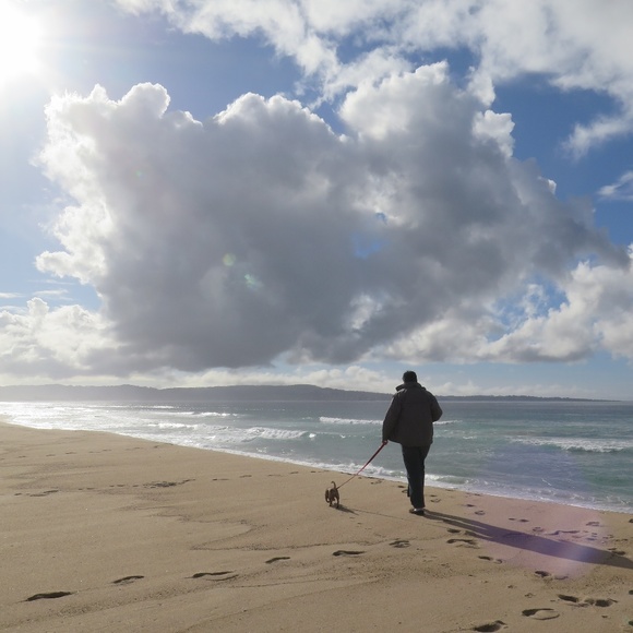 Meet your Posher, Paul - Picture 4 of 8